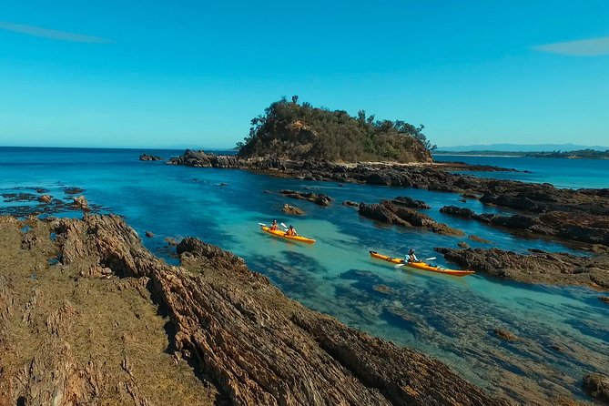 Half Day Sea Kayak Tour from Batemans Bay with Morning Tea - Key things I’d bet on