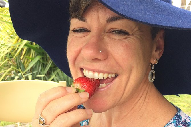 Half Day Sea Kayak Tour from Batemans Bay with Morning Tea - What you’ll do in each stretch of the route