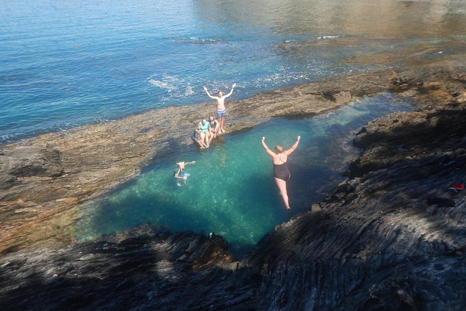 Half Day Sea Kayak Tour from Batemans Bay with Morning Tea - Wildlife spotting without guesswork