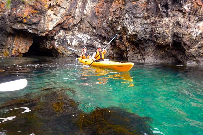 Half Day Sea Kayak Tour from Batemans Bay with Morning Tea - The guides matter: teaching you to paddle, not just moving you