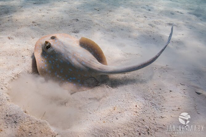 Half Day Snorkel 2.5hr Turtle Tour on the Ningaloo Reef, Exmouth - Stop 2: why two sites matters more than you think