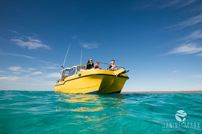 Half Day Snorkel 2.5hr Turtle Tour on the Ningaloo Reef, Exmouth - Pickup, timing, and how the 3.5 hours get used