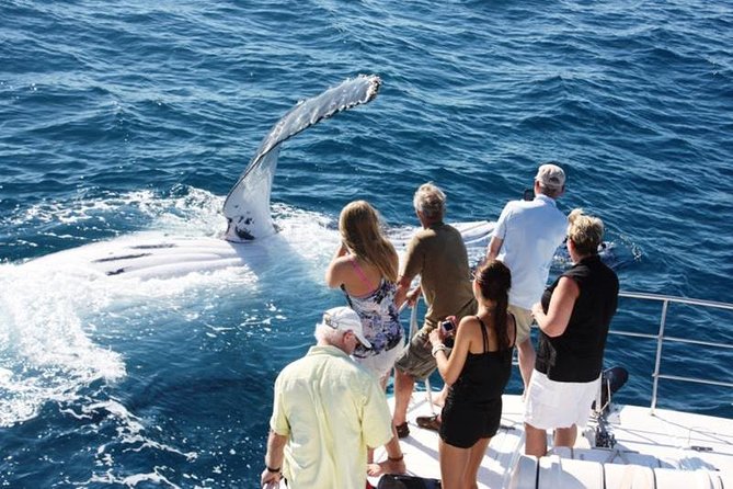 Half-Day Whale Watching Sunset Cruise from Broome - Key things that make this cruise work