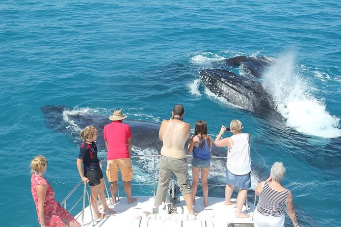 Half-Day Whale Watching Sunset Cruise from Broome - Getting to Cable Beach and boarding at Lurujarri Walk