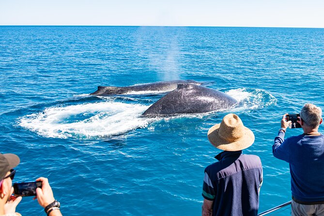 Half-Day Whale Watching Sunset Cruise from Broome - How the half-day timeline really plays out (1:30 pm to sunset)