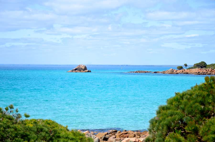 Half day Wine and Sights Discovery Tour Busselton - Two Margaret River Wineries, Tastings, and Local Pairings