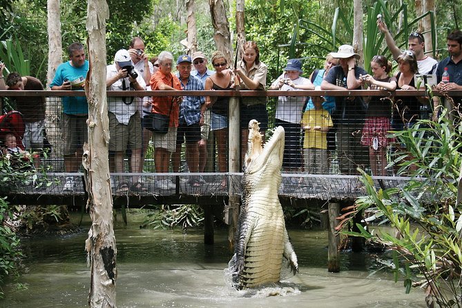 Hartley’s Crocodile Adventures Half-Day Tour from Cairns - Key Points at a Glance