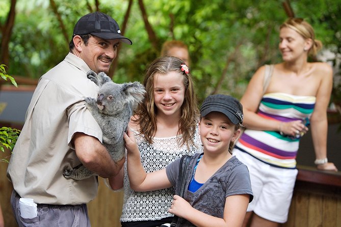 Hartley’s Crocodile Adventures Half-Day Tour from Cairns - Getting There from Cairns or Palm Cove Without Stress
