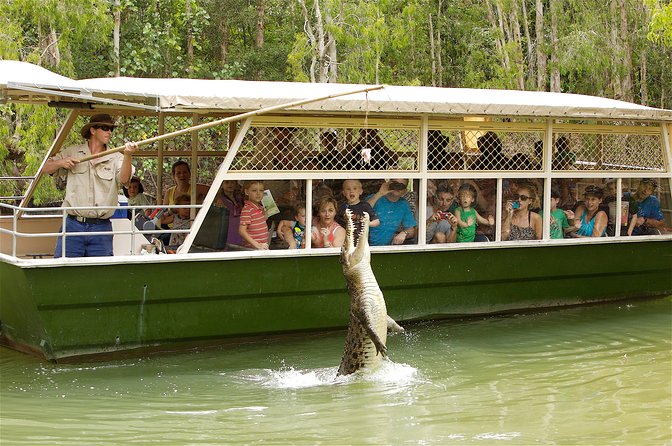 Hartley’s Crocodile Adventures Half-Day Tour from Cairns - The Lagoon Boat Cruise on Melaleuca Wetlands