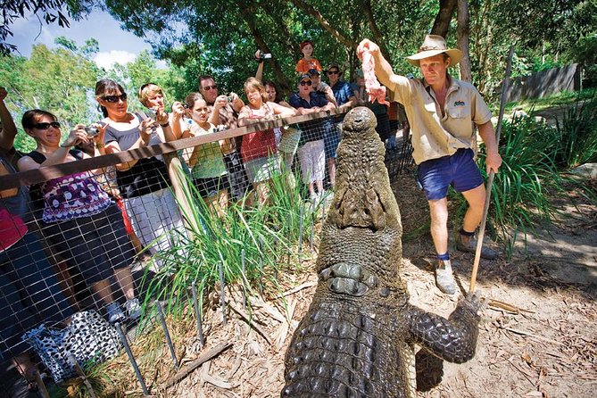 Hartley’s Crocodile Adventures Half-Day Tour from Cairns - The Working Crocodile Farm Education Side