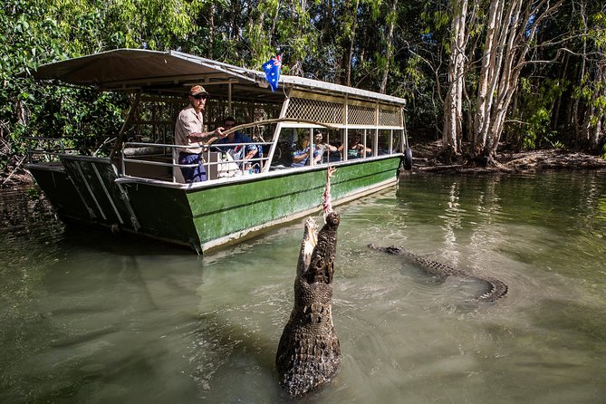 Hartley’s Crocodile Adventures Half-Day Tour from Cairns - Timing, Pickup Accuracy, and How to Avoid a Tight Finish