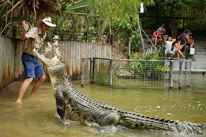 Hartley’s Crocodile Adventures Half-Day Tour from Cairns - Park Layout: Five Zones, Boardwalks, and Real Wildlife Variety
