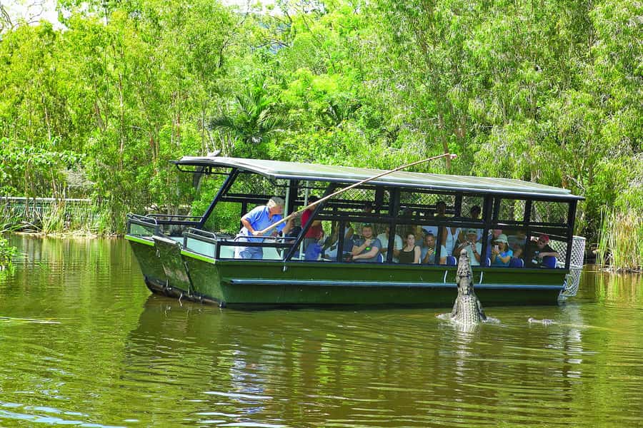 Hartley's Crocodile Adventures Park Entry - The Crocodile Boat Cruise: Pole Feeding in a Natural Wetland