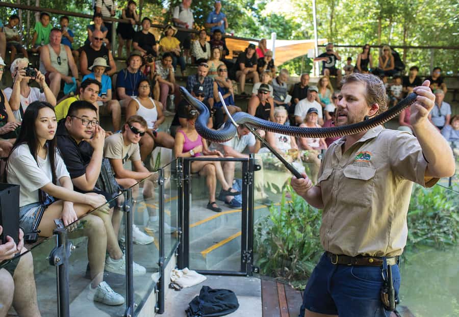 Hartley's Crocodile Adventures Park Entry - Snake Demo and the Venomous Lesson
