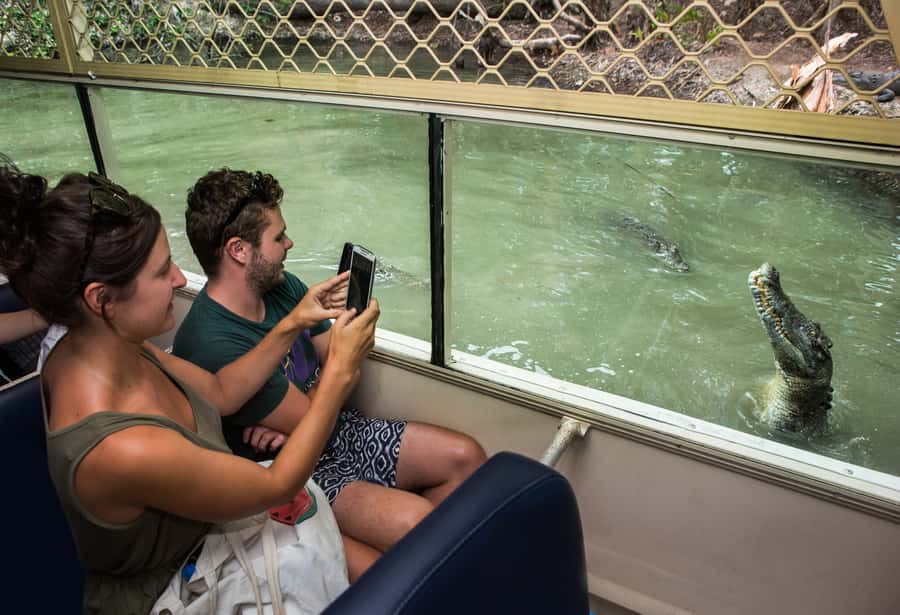 Hartley's Crocodile Adventures Park Entry - Walking the 2500 Meters of Boardwalks and Wetlands