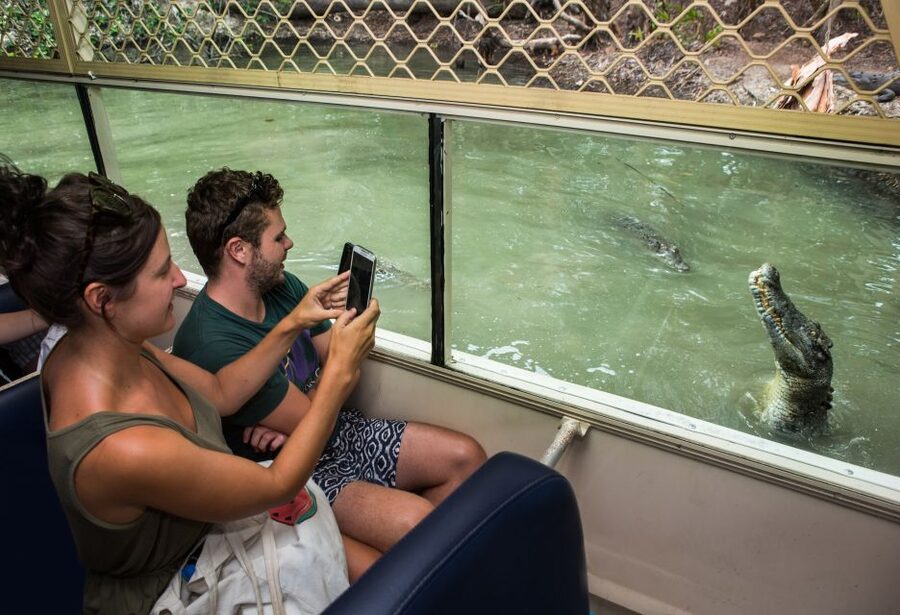 Hartley's Crocodile Adventures Park Entry - After the Main Shows: Reptile Rooms and Living-Arts Exhibits