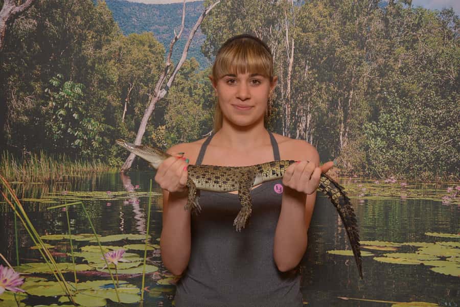 Hartley's Crocodile Adventures Park Entry - Getting Oriented: Arrive Any Time, Then Follow the Flow