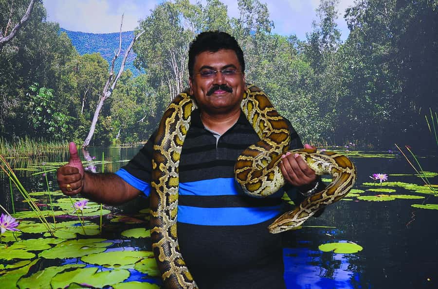 Hartley's Crocodile Adventures: Zootastic 5 + Entry Ticket - Daily presentations and the 20-minute Hartley’s Lagoon boat cruise