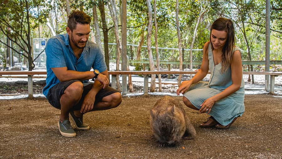 Hartley's Crocodile Adventures: Zootastic 5 + Entry Ticket - The koala encounter: feeding, patting, and a souvenir you can actually use