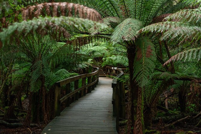 Hastings Caves, Tahune Airwalk and the Huon Tasting Trail - Huon Tasting Trail stop at the cider producer, apple pie, and tastings