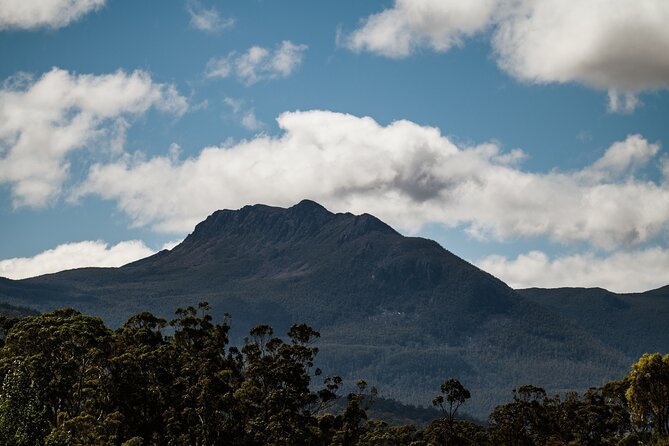 Hastings Caves, Tahune Airwalk and the Huon Tasting Trail - Should you book this Huon Valley day trip or DIY it?