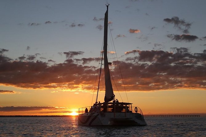 Hervey Bay Champagne Sunset Sail - Key highlights you will actually feel on board