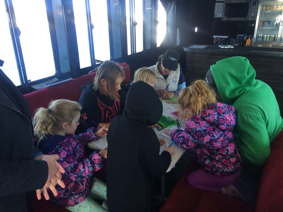 Hervey Bay: Half-Day Whale Watching Cruise with Meal - The meal plan: tea, lunch, or dinner without losing the fun
