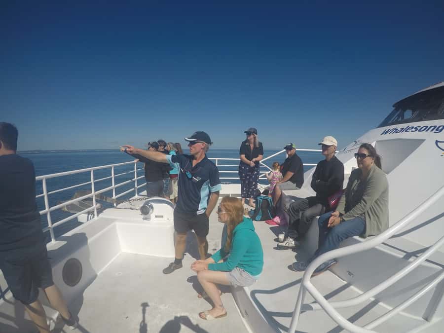 Hervey Bay: Half-Day Whale Watching Cruise with Meal - Comfort, viewing decks, and why this boat feels easier than most