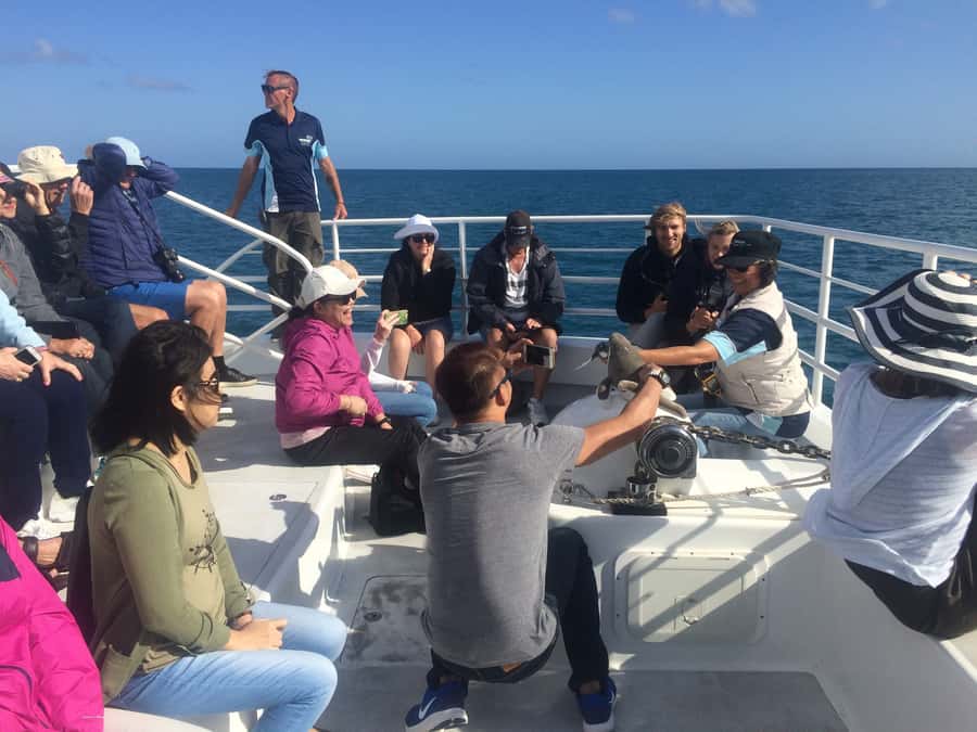 Hervey Bay: Half-Day Whale Watching Cruise with Meal - Getting to Great Sandy Straits Marina without stress