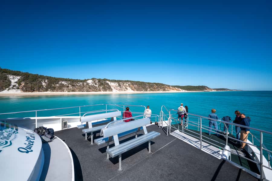 Hervey Bay: Humpback Whale-Watching Half-Day Cruise - Swimming with whales: the offer, the catch, and how to think about it