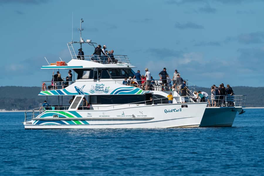 Hervey Bay: Humpback Whale-Watching Half-Day Cruise - Quick Cat II: the multi-deck layout that makes whale watching easier