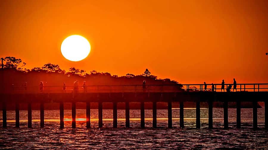 Hervey Bay: Sunset Cruise to Great Sandy Marine Park - Wildlife at dusk: dolphins, turtles, dugong, and the occasional whale moment