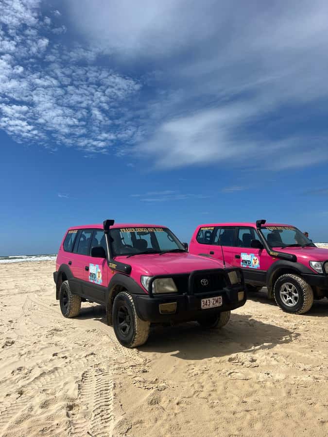 Hervey Bay to K'gari/Fraser Island 2-Day Tour (Beach House) - Key things that make this K’gari 2-day tour worth it