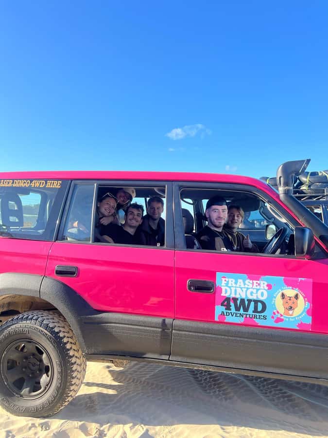 Hervey Bay to K'gari/Fraser Island 3-Day Tour (Beach House) - Rainforest time: Central Station and Pile Valley walks