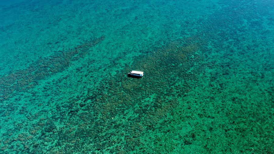 Hervey Bay: Turtle Discovery Eco Tour - Glass-Bottom Cruise in Hervey Bay’s Great Sandy Strait