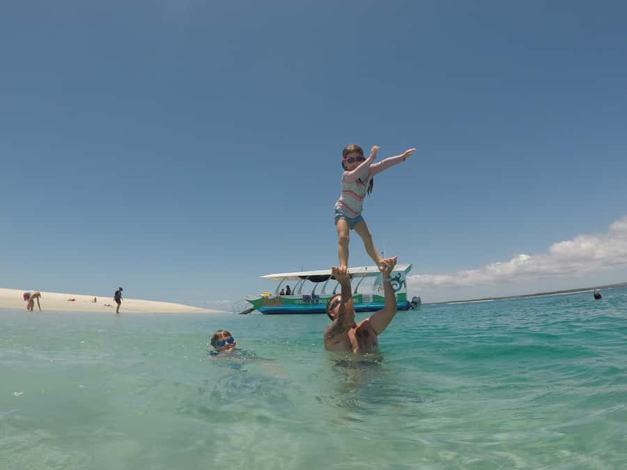 Hervey Bay: Turtle Discovery Eco Tour - Should You Book the Hervey Bay Turtle Discovery Eco Tour?