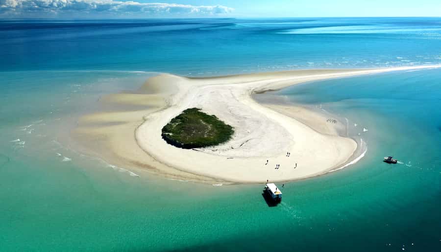 Hervey Bay: Turtle Discovery Eco Tour - Round Island, Big Woody Island, or Pelican Banks: How the Island Stops Feel