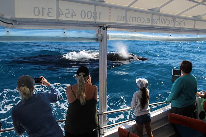 Hervey Bay Ultimate Whale Watching Cruise - Key Things You’ll Notice on This Cruise