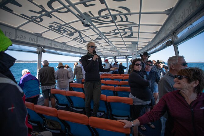Hervey Bay Ultimate Whale Watching Cruise - The 3-Hour Flow: From Marina Check-In to Whale-Search Time
