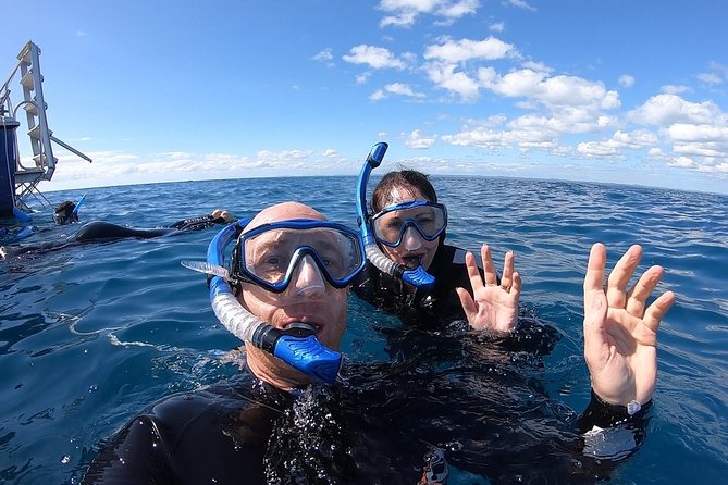 Hervey Bay Whale Swim and Watch - Lunch, hot drinks, and the snacks that keep morale high