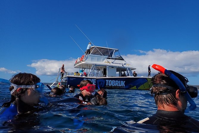 Hervey Bay Whale Swim and Watch - Snorkeling near whales: how to think about visibility and photo plans