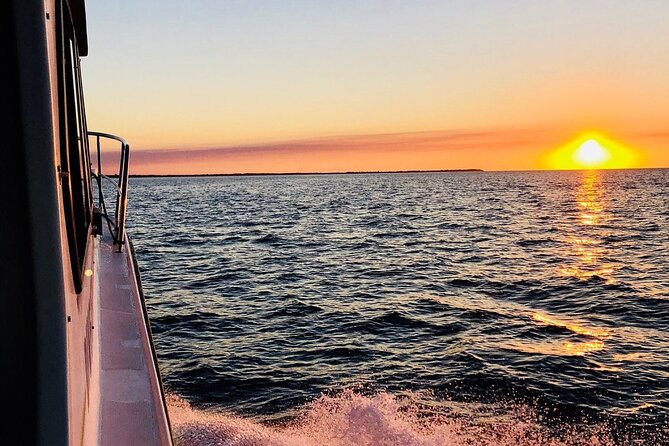 Hervey Bay Whale Swim and Watch - Price and value: what $125.43 really buys you