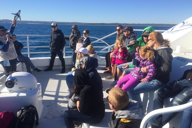 Hervey Bay Whale Watching Experience - Whale sounds and underwater cameras, what to expect in practice