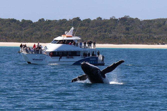 Hervey Bay Whale Watching Experience - Food and comfort on board, the part that makes long viewing easier