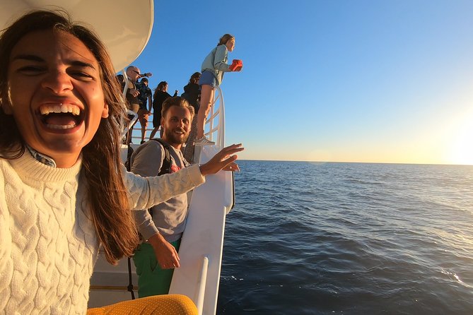 Hervey Bay Whale Watching Experience - Weather realities, and how to avoid a miserable ride