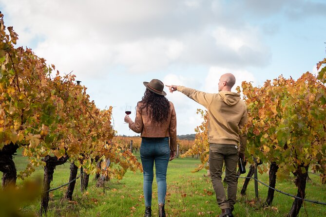 Hidden Gems: Boutique Full-Day Wine, Farm & Lunch Tour - Morning at Margaret River Hideaway Farmstay: Alpacas, Emus, and Scones