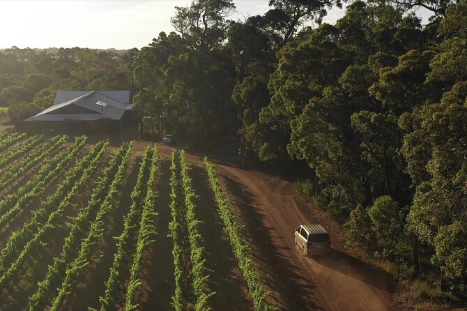 Hidden Gems: Boutique Full-Day Wine, Farm & Lunch Tour - Temper Temper Fine Chocolate and the Coffee Roaster Stop