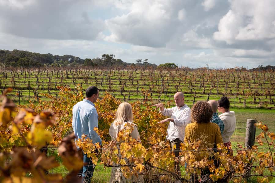 Hidden Gems Margaret River: Authentic Wine & Farm Experience - Key points to know before you go