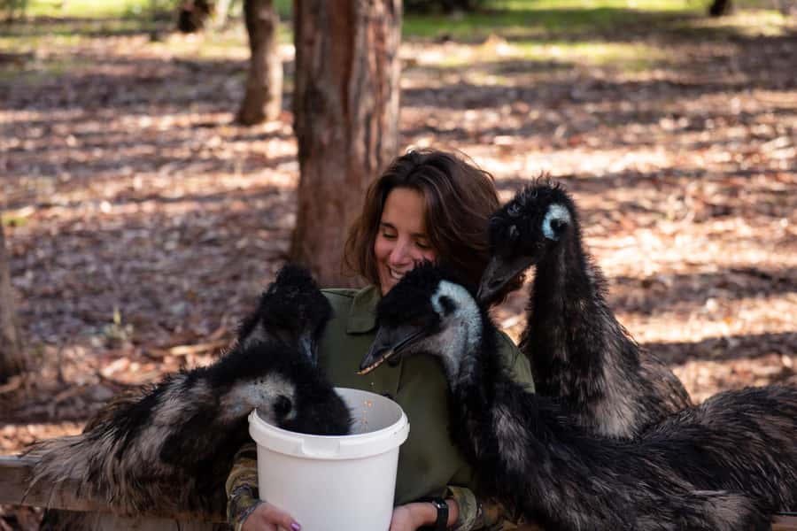 Hidden Gems Margaret River: Authentic Wine & Farm Experience - My booking verdict: should you book this producer-and-winery day?