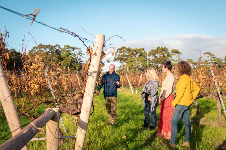 Hidden Gems Margaret River: Authentic Wine & Farm Experience - Price and value: what $145 buys in the real world